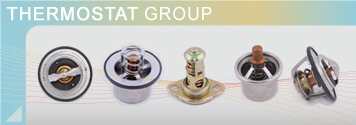 Thermostat Group