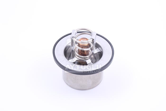 CUMMINS TERMOSTAT (4318947 )